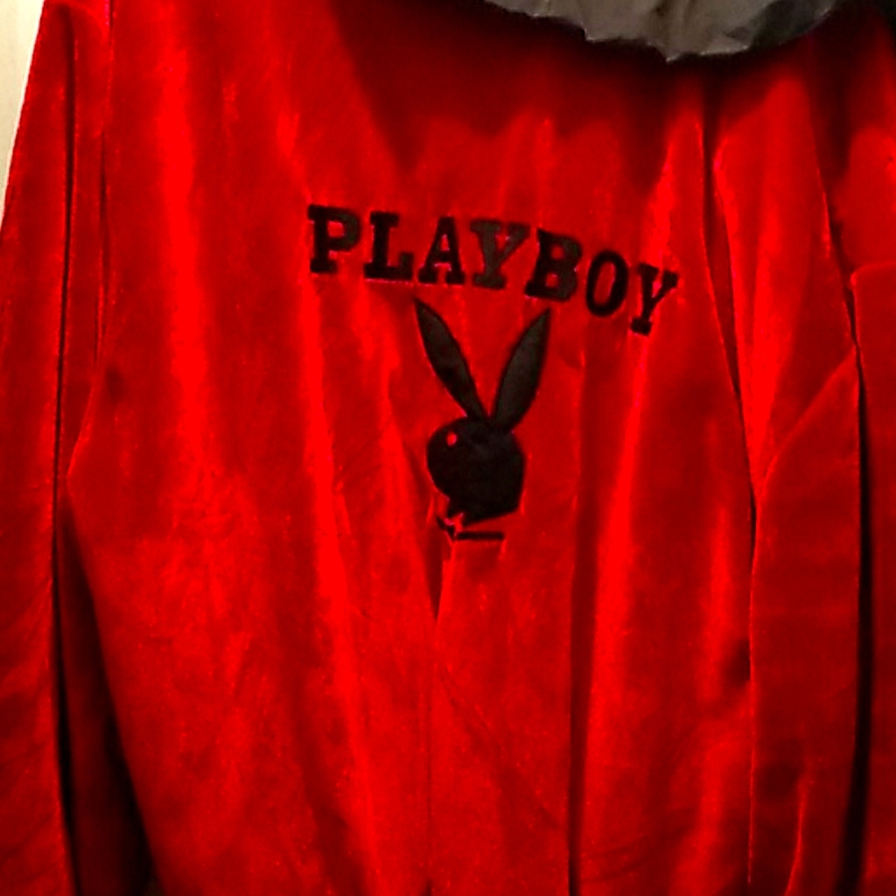 Playboy  Halloween Costume